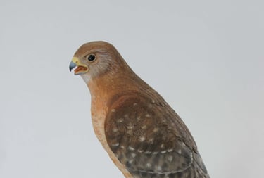 Carved by Ken Keskinen