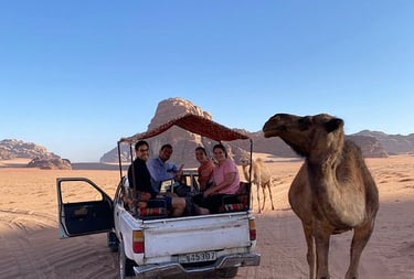 a camell is driving through the desert