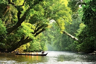 Kuala Tahan & Royal Belum national parks tour & travel packages. Best holiday & vacation from dhkt