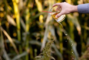 libation ritual - the act of pouring a drink for the deceased