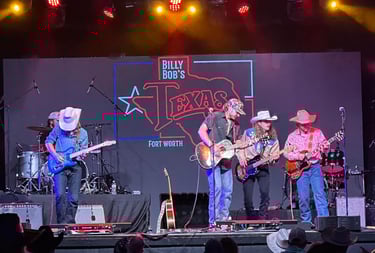 a band of musicians performing at a concert