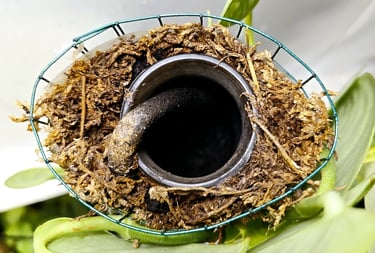 Self watering moss pole jar and rope