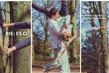 CI, Contact Impro, Retreat, Intensive, Holiday, Weekend, Dance, Community, Play, Fly