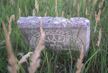 Jewish cementery Lubaczów, Poland
