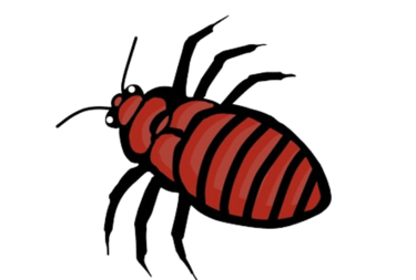 animated bed bug facing left