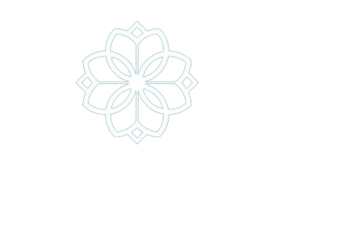 a flower in a black background with a white flower