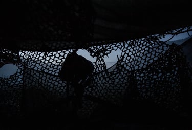 photo d'un affût à la nuit tombante