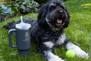 Cachorro sentado na grama com uma caneca Stanley, mostrando uso casual e resistente para pets.