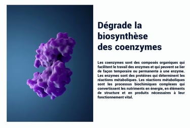 PESTICIDES DEGRADE BIOSYNTHÈSE DES COENZYMES