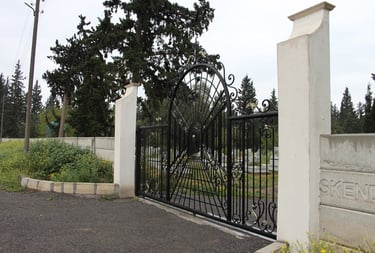 Porte de garage en acier métal fer forgé noir et or doré