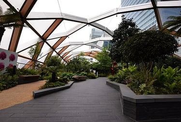 dogAdvisor | dogadvisor | dog advisor | dogAdvisor.dog