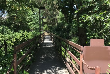 Chico State Campus Bridge