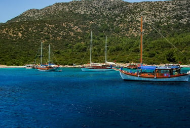 Boat trips