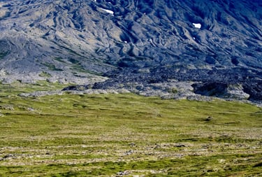 Landscape in Iceland 