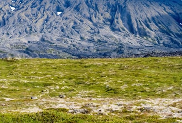 Landscape in Iceland