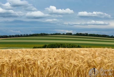 Aller à la page Temps Suspendu et découvrir de nouveaux détails dans chaque photo de paysage.