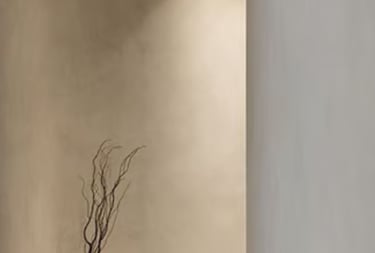 Minimalist interior with a beige textured wall and a decorative dried branch arrangement.