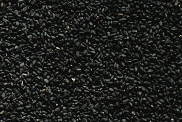 black seed pakistan oil