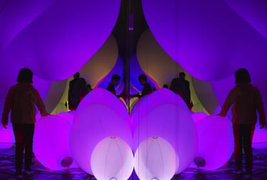 "Borderless Reflection 1" - Team Lab Borderless Installation in Odaiba, Japan