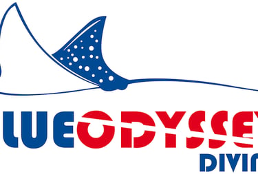Blue Odyssey Diving