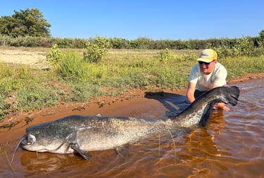 gros silure mimizan pêche