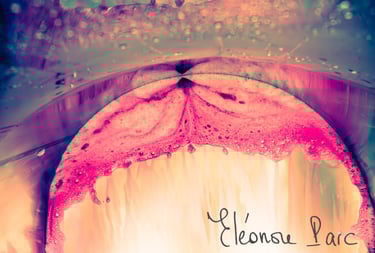 Fond de cuve en inox, révélant une mousse den forme de dentelle. Série La Potion Magique