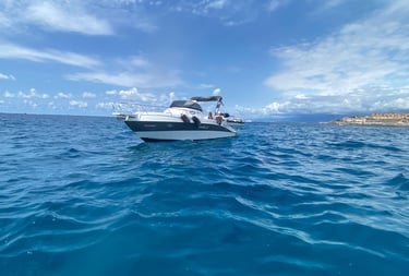 Private boat experience along the Ligurian Riviera