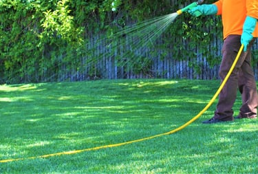 lawn fertilizer and weed control