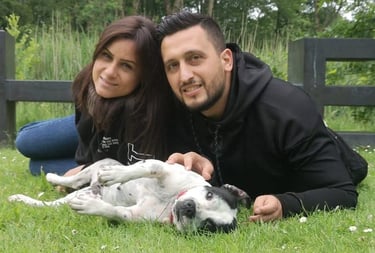 Allevatori di Grecalestaffs con Staffy Bianca Femmina sdraiati sul prato.