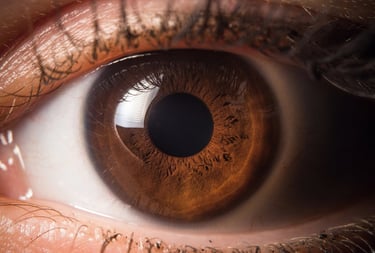 iridologie et naturopathie