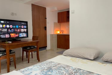 Diving in Eilat  Diving accommodation Eilat  Diver-friendly rooms Eilat  Best diving spots Eilat  Sn