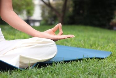Woman practicing yoga and meditation on a blue mat in a green park for wellness and wellness.