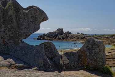Vos photos de l'été