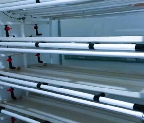 Our crops are grown on hygienic shelves