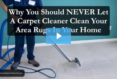link to video why you should never let a carpet cleaner clean your area rugs in your home