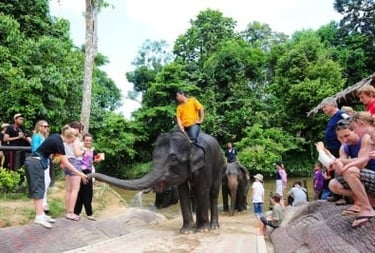 National elephant conservation centre (NACC) Kuala Gandah