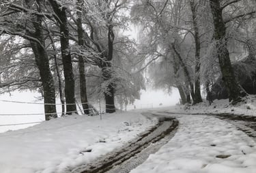 Route de montagne paisible dans les Pyrénées en hiver, nature et silence près de Foix en Ariège