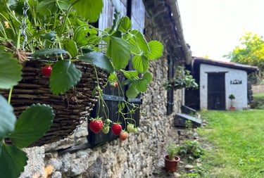 Charmante maison de vacances dans les Pyrénées avec jardin verdoyant et nature autour de Foix