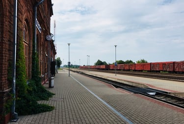 SAUGAUS ELGESIO GELEŽINKELIO KELIŲ IR JŲ ĮRENGINIŲ APSAUGOS ZONOSE MOKYMAI