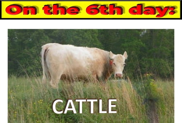 Cattle on the 6th day designed by Debbie Dunn using PowerPoint & Paint