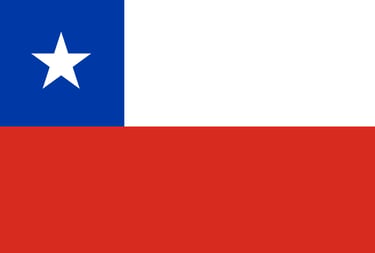 a flag of the state of texas