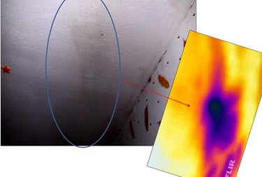 CJR AUDITS pathologie humide