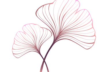 Gingko Biloba