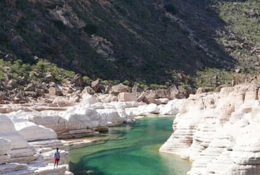 Socotra guide