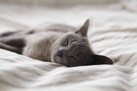 Hypnose insomnie