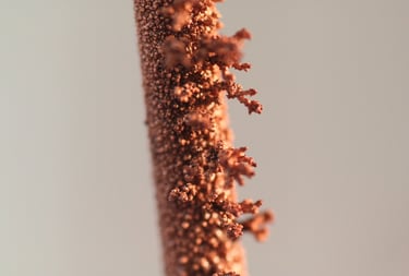 chemical electrolysis