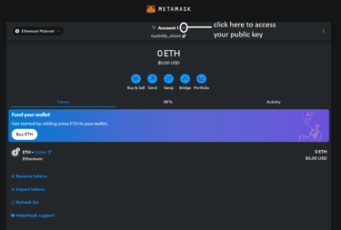 Metamask your public key