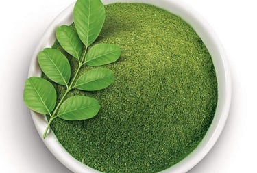 a bowl of moringa powder with moringa leaf