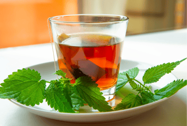 Tisane d'ortie