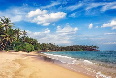 mirissa beach
